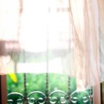 Membawa Elemen Natural ke Rumah untuk Suasana yang Lebih Hangat